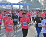 경주벚꽃마라톤대회, 오는 6일 보문단지 일원서 개최