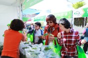 영양 산나물축제, 경상북도 2023년 최우수 축제 선정