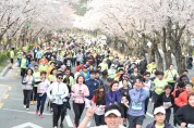 4년 만에 새봄, 새로운 시작...‘2023 경주 벚꽃마라톤대회’ 4월 1일 개최