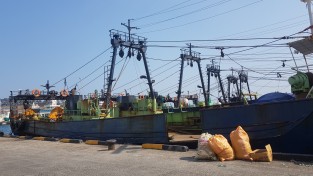 포항해경,“오징어 싹쓸이 공조조업”전국 최초 구속