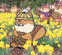 경북의 봄, 사람이 꽃이 되고, 꽃이 미소와 희망 된다!