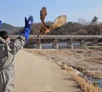 경북야생동물구조관리센터 개원이래 야생동물 최다 구조